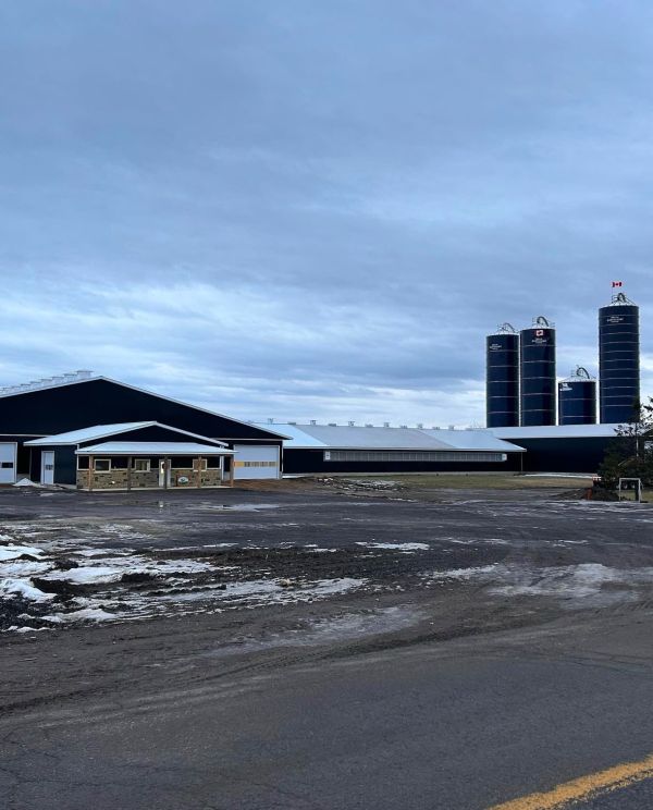 Mc Faddens new farm